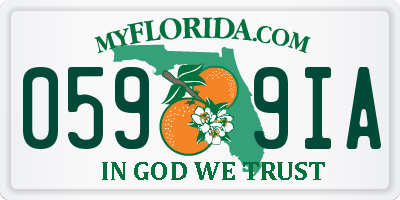 FL license plate 0599IA