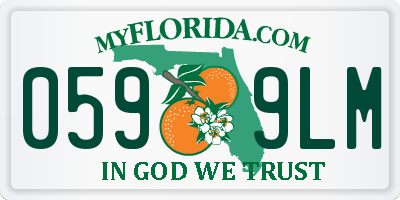 FL license plate 0599LM