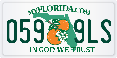 FL license plate 0599LS