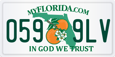 FL license plate 0599LV