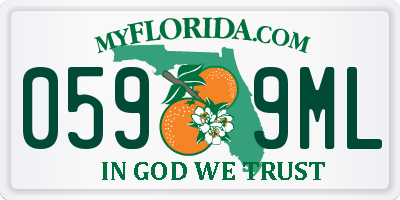 FL license plate 0599ML