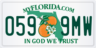 FL license plate 0599MW