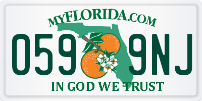 FL license plate 0599NJ