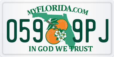 FL license plate 0599PJ