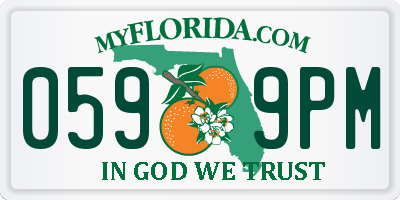 FL license plate 0599PM