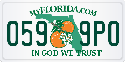 FL license plate 0599PO