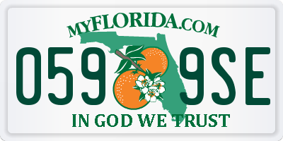 FL license plate 0599SE