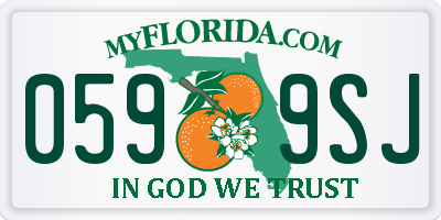 FL license plate 0599SJ