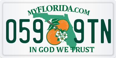 FL license plate 0599TN