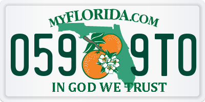 FL license plate 0599TO