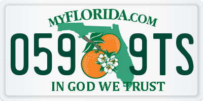 FL license plate 0599TS