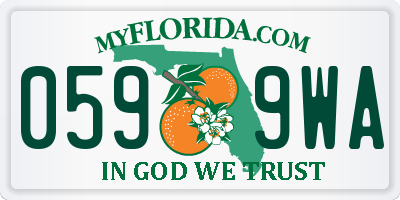 FL license plate 0599WA