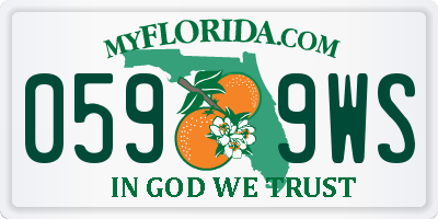FL license plate 0599WS