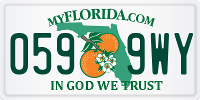 FL license plate 0599WY