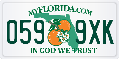 FL license plate 0599XK