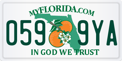 FL license plate 0599YA