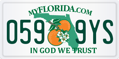 FL license plate 0599YS