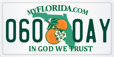 FL license plate 0600AY