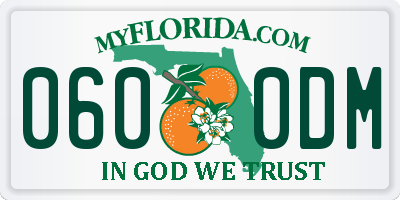 FL license plate 0600DM