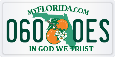 FL license plate 0600ES
