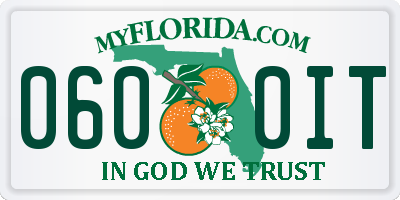 FL license plate 0600IT
