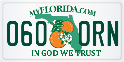 FL license plate 0600RN