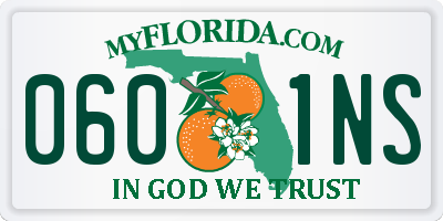 FL license plate 0601NS