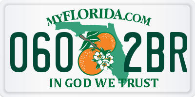 FL license plate 0602BR