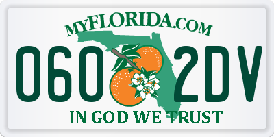 FL license plate 0602DV