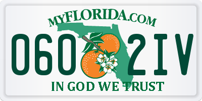 FL license plate 0602IV