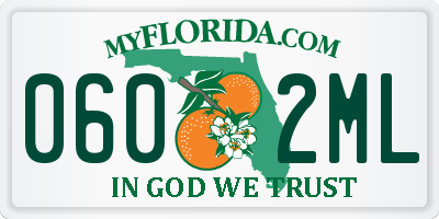 FL license plate 0602ML