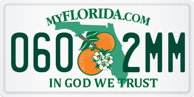 FL license plate 0602MM