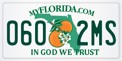 FL license plate 0602MS