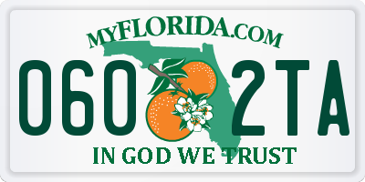 FL license plate 0602TA