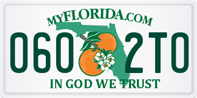 FL license plate 0602TO