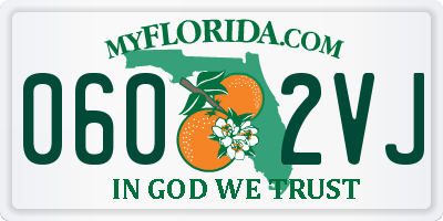 FL license plate 0602VJ