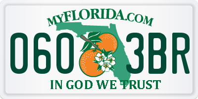 FL license plate 0603BR