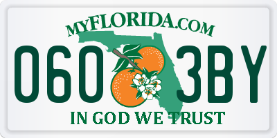 FL license plate 0603BY