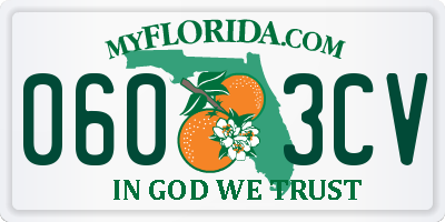 FL license plate 0603CV