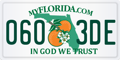 FL license plate 0603DE