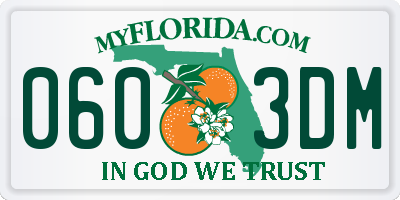 FL license plate 0603DM
