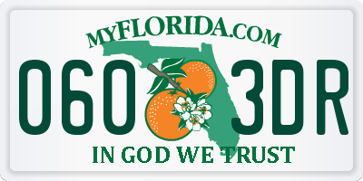 FL license plate 0603DR