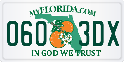 FL license plate 0603DX