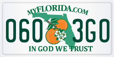 FL license plate 0603GO