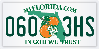 FL license plate 0603HS