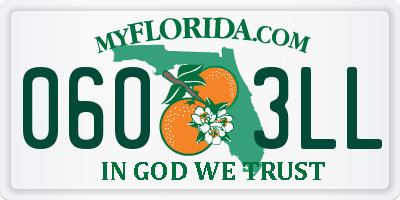 FL license plate 0603LL