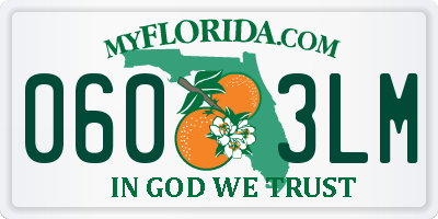 FL license plate 0603LM