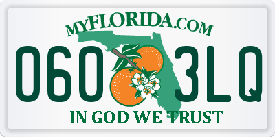 FL license plate 0603LQ