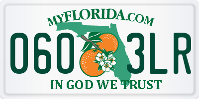 FL license plate 0603LR