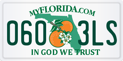 FL license plate 0603LS